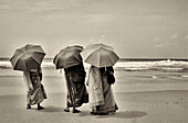 Three Women in Traditional Clothes on Beach With Umbrellas, Rear View, India