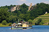 Steamboat on Elbe river in front of Eckberg castle and Lingner castle, Dresden, Saxony, Germany, Europe