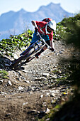 Freeride mountain biker off-roading, Chatel, Haute-Savoie, France
