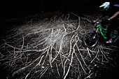 Freeride Mountainbiker fährt über Wurzeln in einem Wald, Chatel, Haute-Savoie, Frankreich