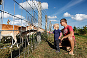 Father and son (2 years) feeding fallow deers, Preetz, Island of Ruegen, Mecklenburg-Western Pomerania, Germany