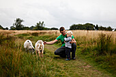 Father and son (2 years) petting a sheep, Kreptitz moor, Wittow Peninsula, Island of Ruegen, Mecklenburg-Western Pomerania, Germany