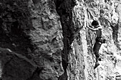 Kletterer an der Neuseeland Wand, Kochel am See, Bayern, Deutschland
