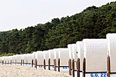 Strandkörbe in einer Reihe am Strand, Sellin, Rügen, Mecklenburg-Vorpommern, Deutschland