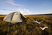 Tent camping near the Canning River in ANWR. Summer in Arctic Alaska.