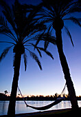 A Hammock strung between two palm trees by a lake at sunset, at Scottsdale resort.