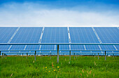 A large group of solar panels, tilted at an angle.