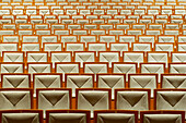 Rows of empty seats in a theatre or auditorium. Seating.