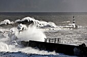 Seaham, England, Stormy Waves Pounding Seawall