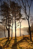 Cumbria, England, Lake Scenic At Sunrise