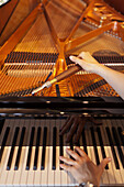 Man tuning a concert piano, Schimmel piano company, Brunswick, Lower Saxony, Germany