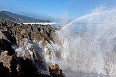 Regenbogen in der Gischt über den Pancake Rocks,Kalkschichtstein,Punakaiki,Dolomite Point,Tasman Sea,Südinsel,Neuseeland