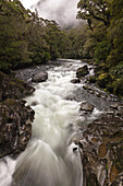 Wildbach, Fluss nach Regen, Milford Road, Fiordland National Park, Te Wahipounamu, Südinsel, Neuseeland