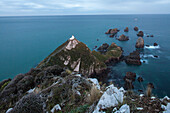 Lighthouse at Nugget Point, ocean view above lighthouse and cliffs, Catlins, South Island, New Zealand