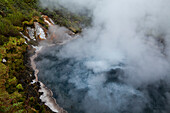 Heiße Wasserquellen, heißer Dampf, Thermalpark am Campingplatz von Waikite, Waikite Valley Thermal Pools, Rotorua, Nordinsel, Neuseeland