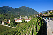 Couple on electric bikes, E-bike, Vines near Neustift Monastery, Wine growing area, Brixen, South Tyrol, Italy