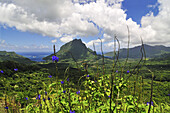 View fromThree Coconut Pass, Cook's Bay, Opunohu Bay, Moorea, Society Islands, French Polynesia, Windward Islands, South Pacific