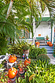 Typical Conch House architecture, unique to Key West, with garden, Key West, Florida Keys, Florida, USA