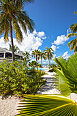 Pool area at Hotel Resort Casa Morada, Islamorada, Florida Keys, Florida, USA