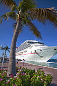 Luxus Kreuzfahrtschiff liegt am Kai von Key West, Florida Keys, Florida, USA