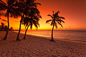 Morning impression at sunrise on Key West Smathers Beach, Key West, Florida Keys, Florida, USA