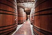 Barrels in the historic cellar of Viña Cousiño Macul winery, Santiago, Región Metropolitana, Chile