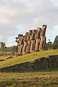 The seven moais (restored in 1960 by archaeologist William Mulloy) of Ahu Akivi are the only moai to face the ocean, Rapa Nui (Easter Island), Chile