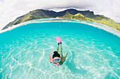 French Polynesia, Moorea, Woman free diving in turquoise ocean.