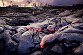 Hawaii, Big Island, Hawaii Volcanoes National Park, Kilauea area, Expanse of pahoehoe lava.