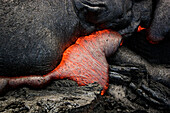 Hawaii, Big Island, Hawaii Volcanoes National Park, Molten lava from Kilauea Volcano