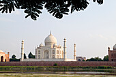 India, Agra, Taj Mahal, temple burial site at sunset from Yamuna River.