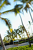 Hawaii, Big Island, Kona Coast, Kukio Beach, Beach chairs and umbrellas line the shore.