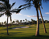 Hawaii, Maui, Wailea Golf Course with Club House in background, palms in foreground