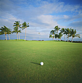 Hawaii, Big Island, Waikoloa Resort Golf Course, Beach Course, Golf ball and flag.