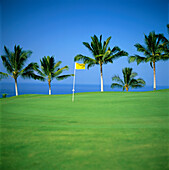 Hawaii, Big Island, Kona Country Club, Ocean Front Course, flag with palms and ocean background C1256