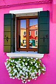Italy , Near Venice city , Burano City ,window