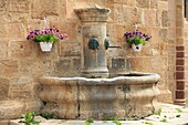 France, Lozère (48), Canourgue, labeled Village Stage, the fountain adjoining the collegiate church St. Martin