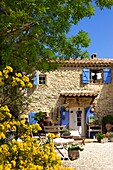 France, Vaucluse (84), Traditional house in Provence, charming and garden decor of the facade (permission to publish) /