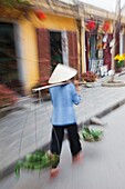 Vietnam,Hoi An,The Old Town,Woman Wearing Conical Hat