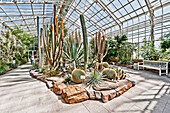 Botanischer Garten, Nymphenburg, München, Oberbayern, Bayern, Deutschland