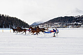 Skijoring, White Turf Horse Race 2013, St. Moritz, Engadine valley, canton of Graubuenden, Switzerland