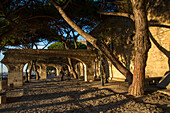 Cobblestone path and tree shadows at Castelo de San Jorge, St. George's Castle in Alfama district, Lisbon, Lisboa, Portugal