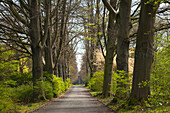 Buchenallee, Dortmund, Nordrhein-Westfalen, Deutschland