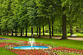 Lindenallee, Springbrunnen Allee, Kurpark Bad Pyrmont, Niedersachsen, Deutschland