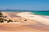 Sandbank zwischen Lagune und Meer, Playa de Sotavento, Sotavento, Costa Calma, Jandia, Morro Jable, Fuerteventura, Kanarische Inseln, Spanien, Europa