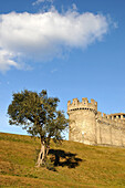 Montebello Castle, Castello di Montebello, Bellinzona, Ticino, Switzerland