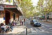Cafe Deportiu, main road lined with sycamore trees, Passeo, Carrer de Joan Rivtort, Esporles, north of Palma, Mallorca, Balearic Islands, Spain