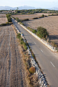 Rural road MA-3140 between harvested fields, leading to thorp Cas Canar, south of Sencelles, Mallorca, Balearic Islands, Spain
