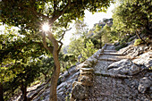 Bike and foot path leading up to Castell Alaro, on Puig D`Alaro, near village of Alaro, Tramuntana, Mallorca, Balearic Islands, Spain