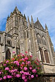 St Peter church 15thc  with flowers, Coutances, Cotentin,Normandy, France